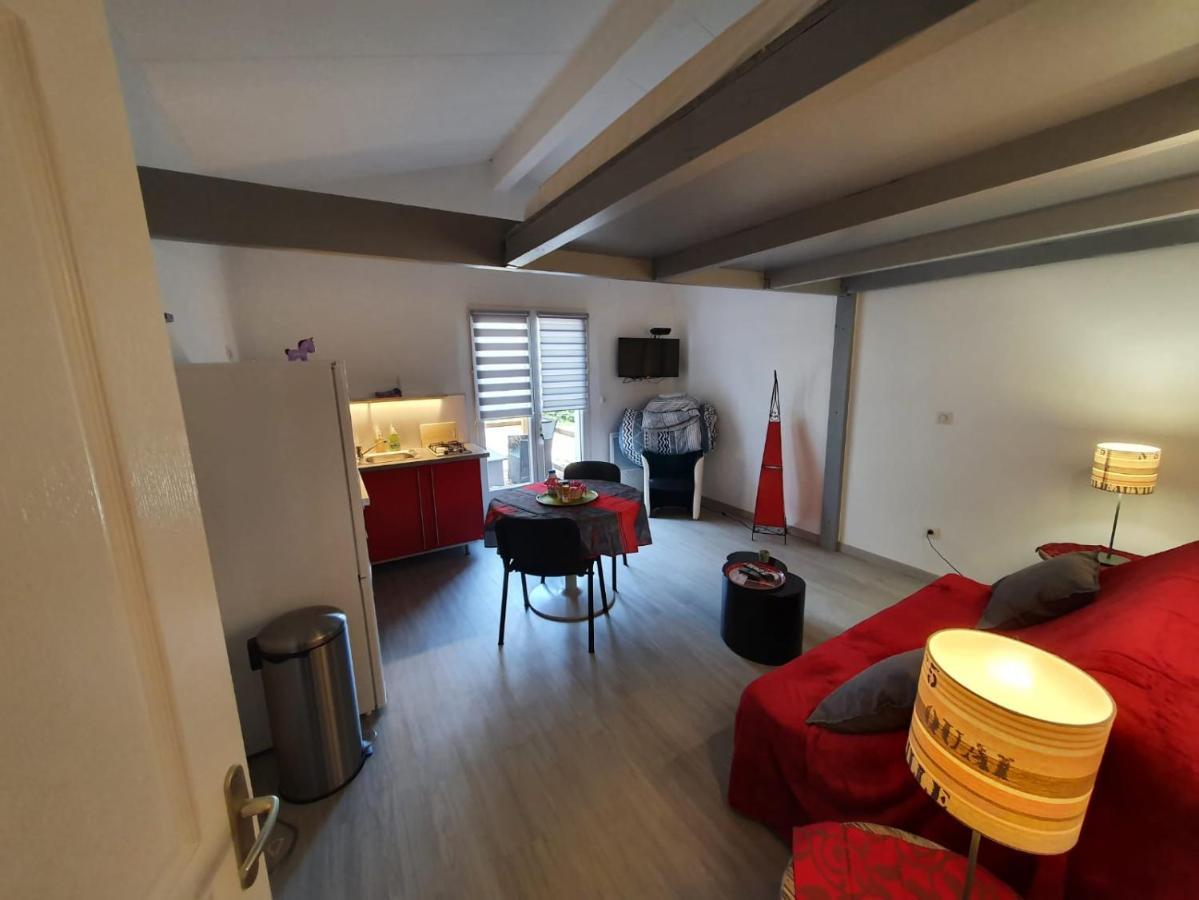 Dormir A Montauban Logements Carreyrat Calme Et Verdoyant Eksteriør billede