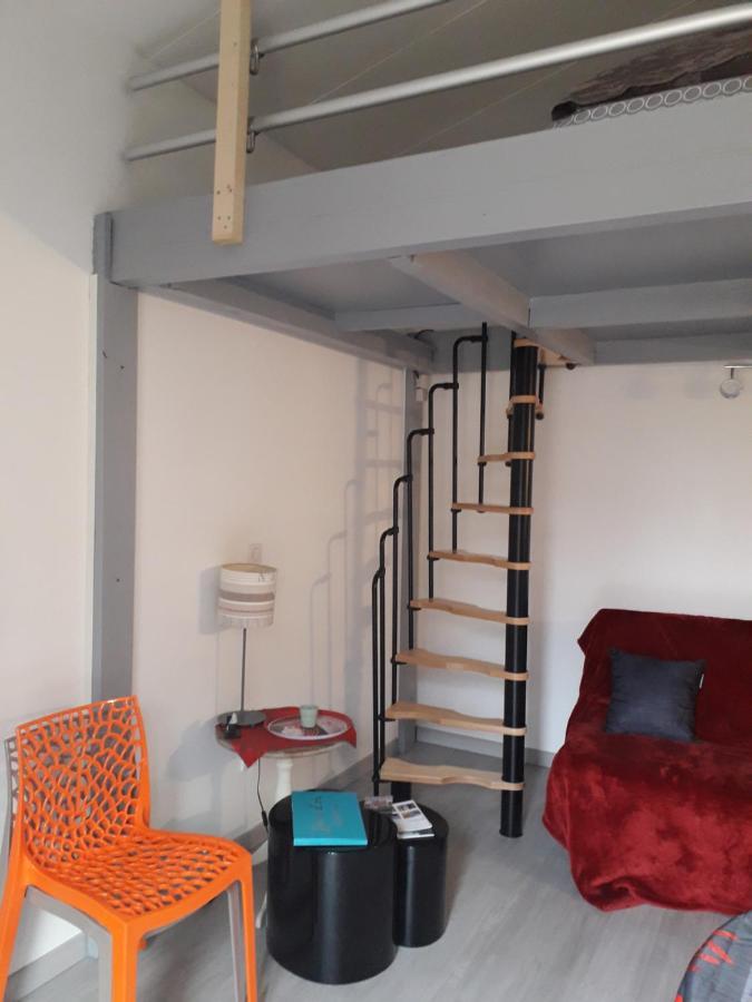 Dormir A Montauban Logements Carreyrat Calme Et Verdoyant Eksteriør billede