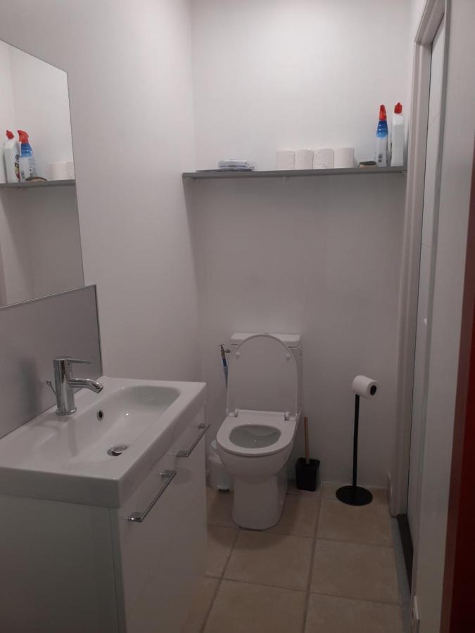 Dormir A Montauban Logements Carreyrat Calme Et Verdoyant Eksteriør billede